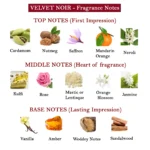 Velvet Shadow Fragrance Notes
